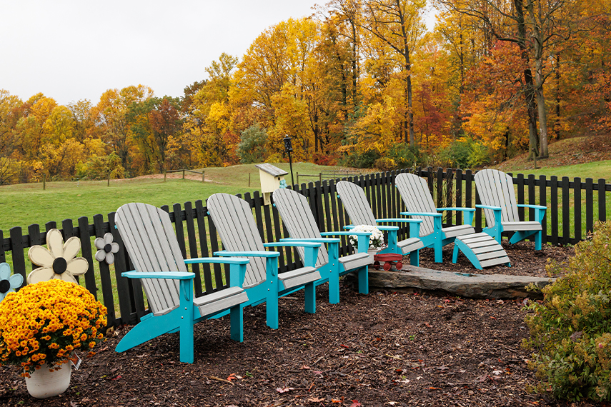 Poly Yard Adirondacks for sale